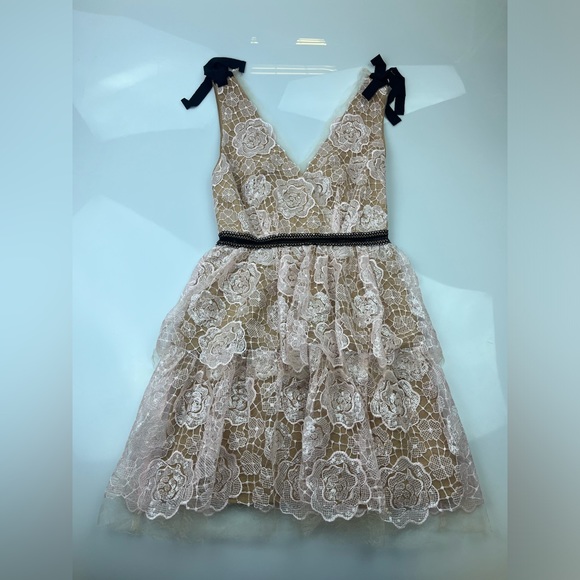 Self-Portrait Starlet Mini Rose Lace Dress N210-36 - Picture 3 of 11